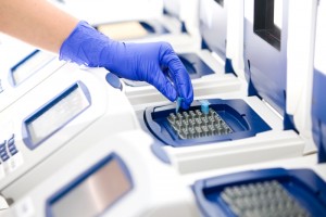Testy DNA Gdańsk